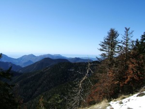 View Towards Coast