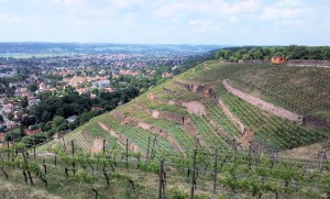 View from Bismarckturm