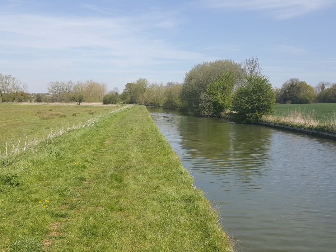 Some parts are quite dull.