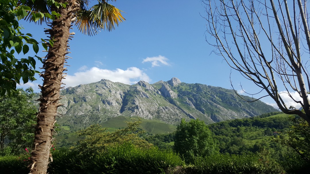 The view from the hotel