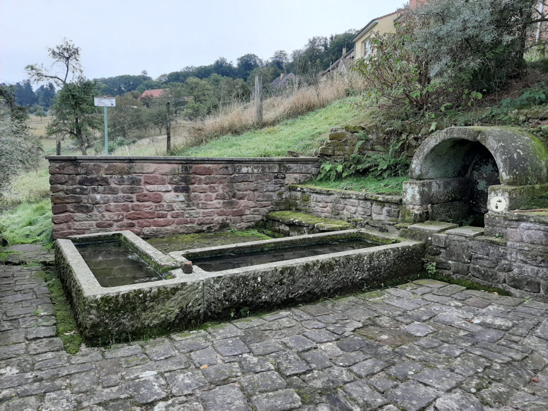 Source 9 The Moder at Moderfeld