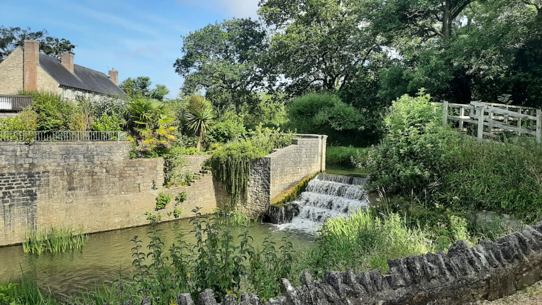 River Brit at Pymore