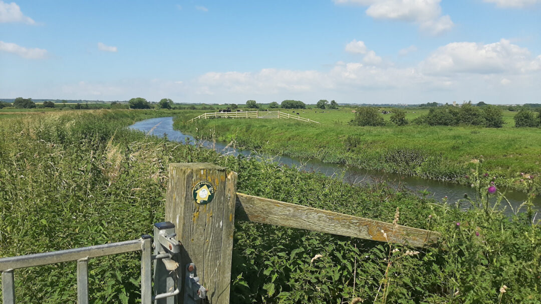 River Parrett near Muchelny