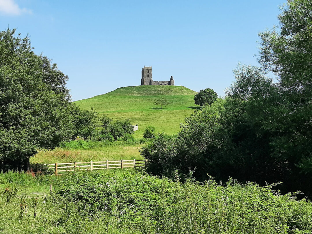 Burrow Mump