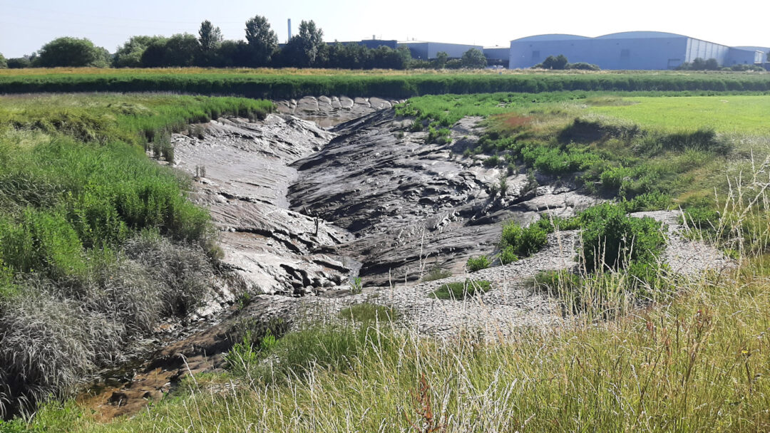 The mud banks of a tributary