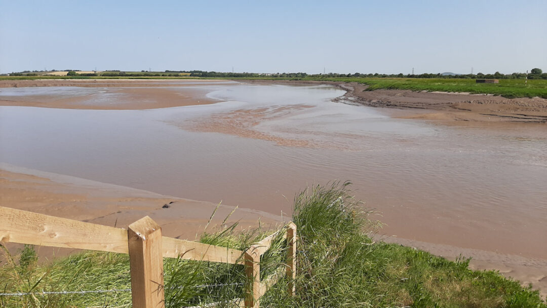 The Parrett estuary