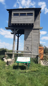 Bridgwater Bay bird hide