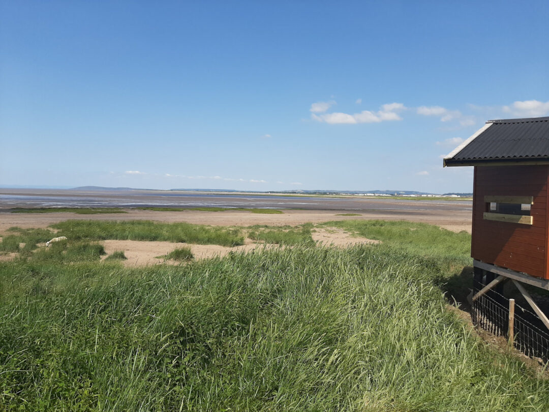 The Bristol Channel at Stert Point Hide