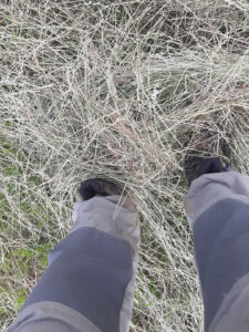 feet in mown hay