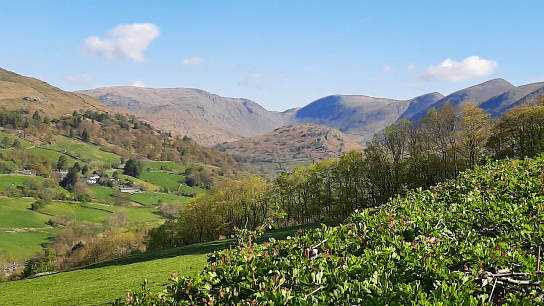 Troutbeck Tongue from Garburn Road