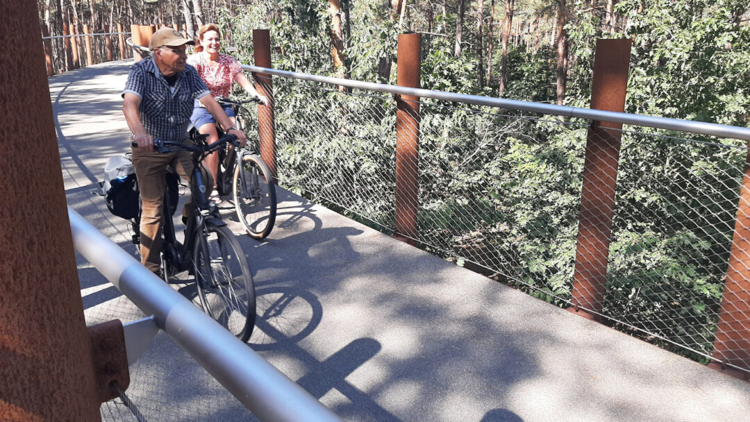 A man and a woman enjoying cycling on a cycle path through the treetops