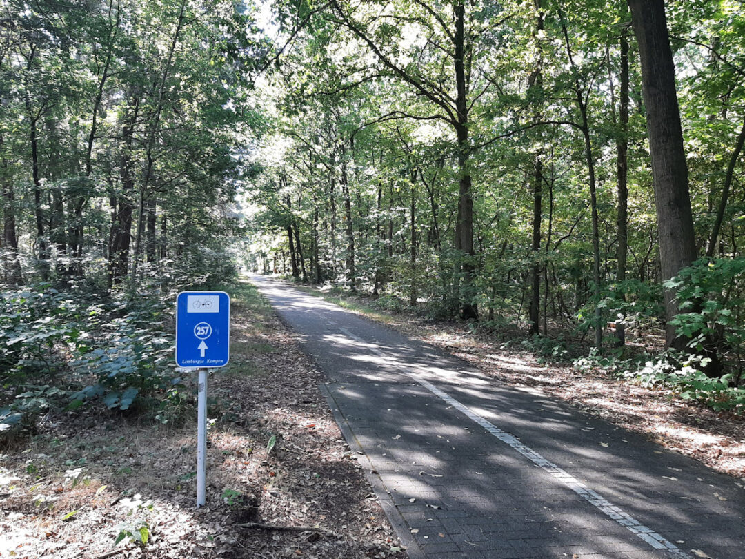 A cycle path through a forest with dappled sunshine and a cycle path sign