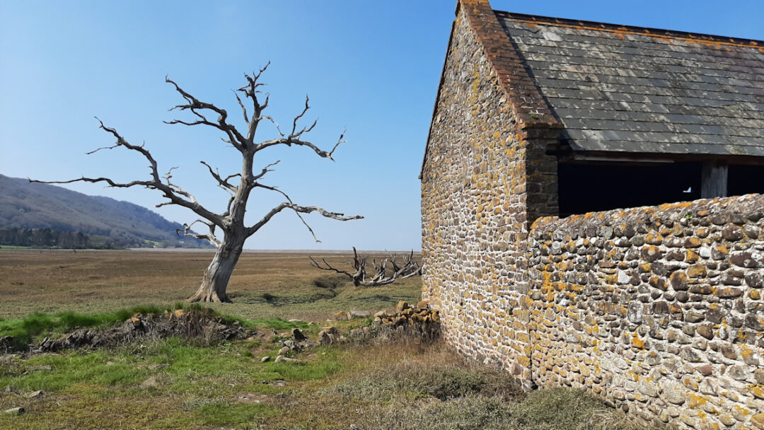 A flat landscape with the side of a stone building on the right of the picture and the standing skeleton of a dead tree on the left, all under a clear blue sky.