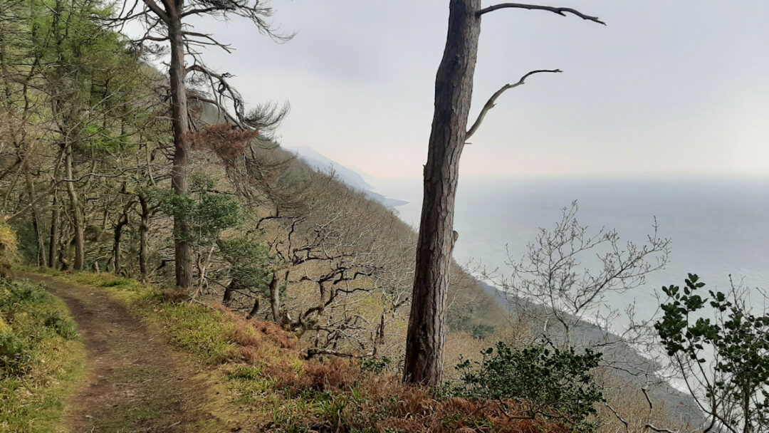 Wooded slopes drop to the sea which is seen in the distance.