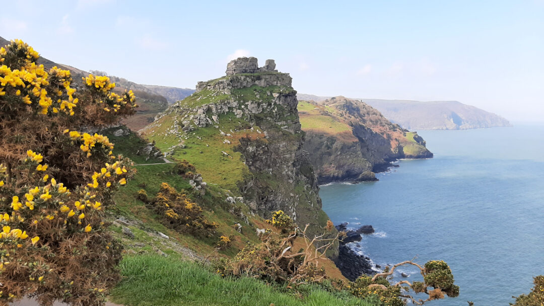 Coastal cliffs and sea. Flowering gorse (yellow) in the foreground, a rock tower in the middle distance.