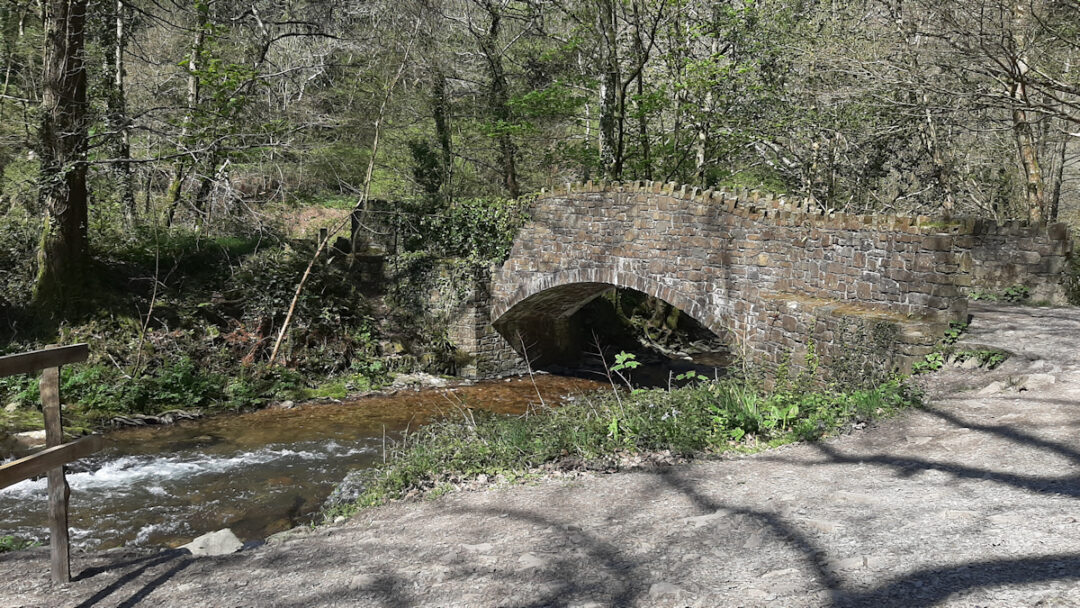 A stone bridge over a small river in a wooded setting