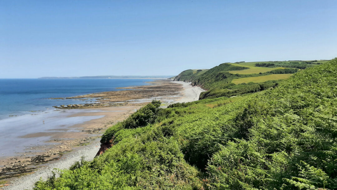 Blue sky, blue sea, low cliffs edging green fields and scrub