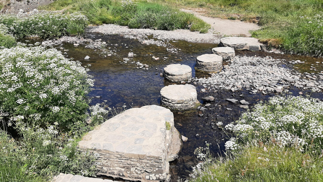 Man-made stepping stones cross a shallow stream
