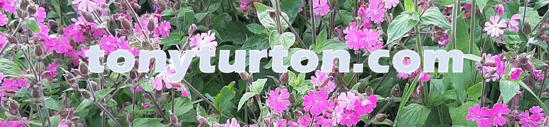tonyturton.com