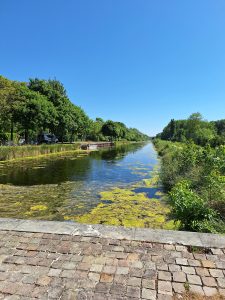 Cobbled stone in the foreground. Beyond, a straight canal between green banks, its water reflecting the clear blue sky.