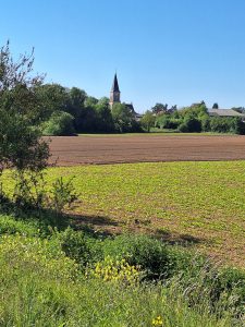 A distant church spire and cluster of houses and trees seen across a level green field under a clear blue sky.