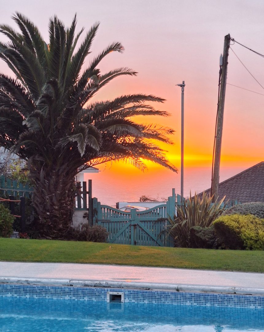 Orange sunrise behind a large palm tree. Part of a swimming pool in the foreground.