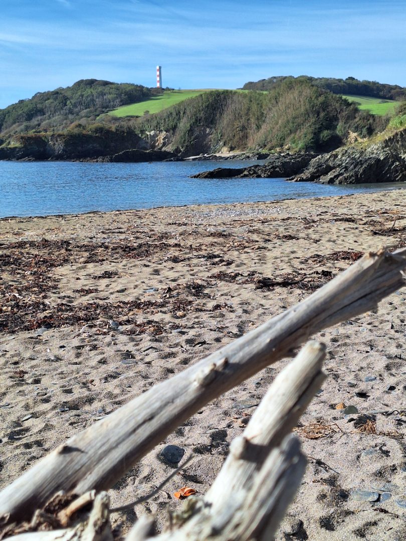 In the foreground a sandy beach with two large bleached wooden timbers. In the distance green woods and fields with a red and white tower near the headland.