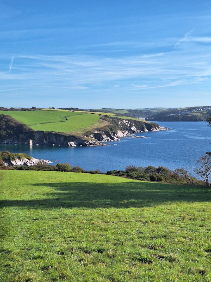 Blue sky, green fields with shiny low cliffs above a calm blue sea.
