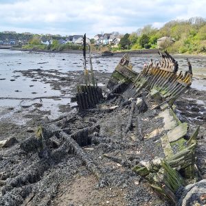 All that's left of a wooden boat are a few ribs sticking out of the mud and seaweed covering the decaying timbers. On the far shore, a few houses and green trees.