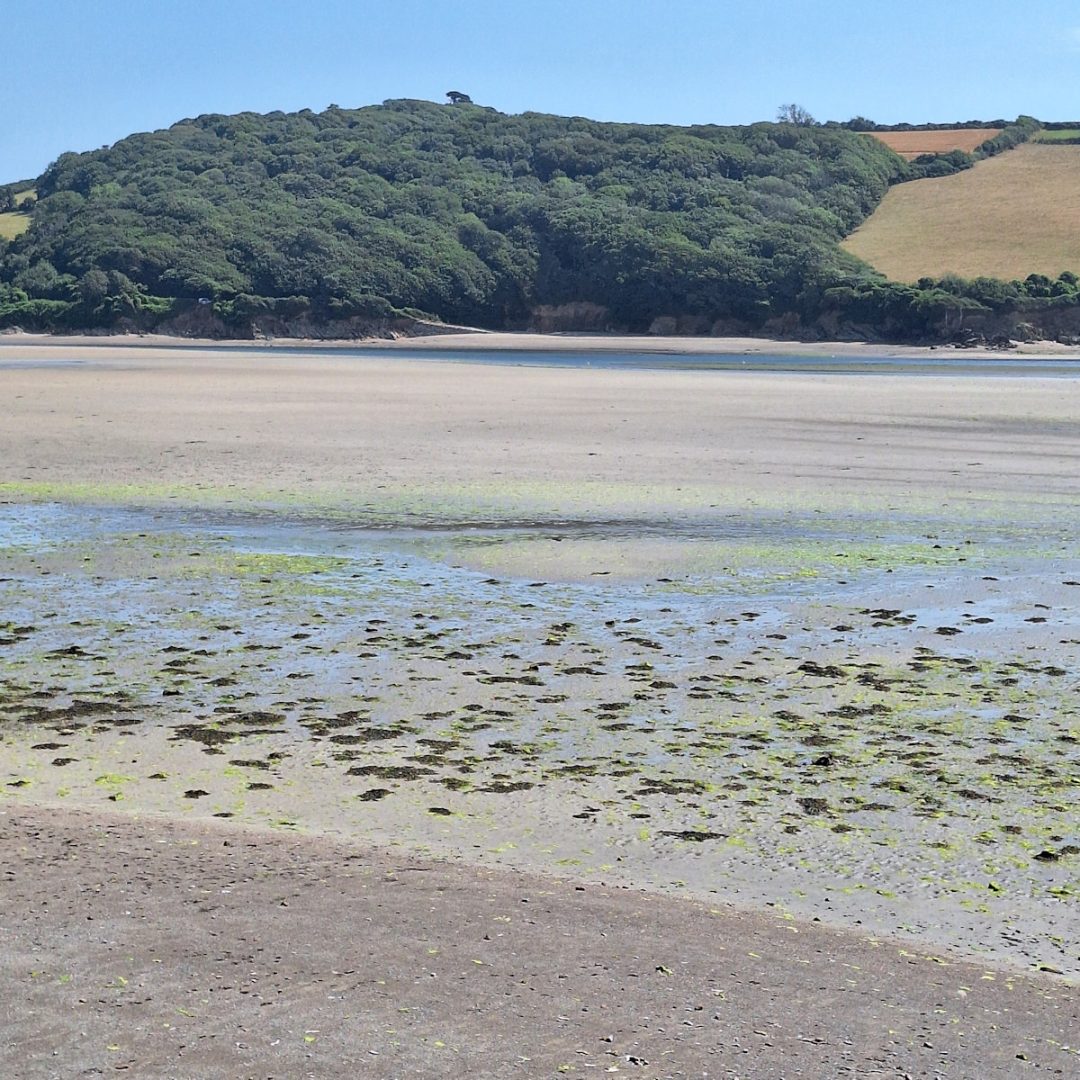 An expanse of sand with a thin line of water in the distance below a sloping hillside with woods and green fields.