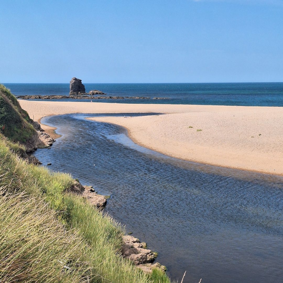A blue-green stream flows across a sandy beach and curves into the distant sea under a blue sky.