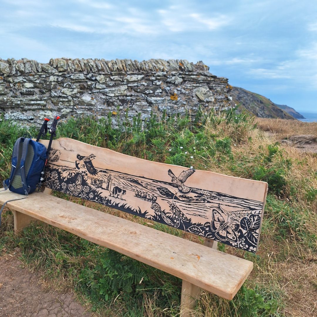A wooden bench by a low stone wall. The seat is plain but the back rest is a detailed illustration in black pigment with birds, butterflies and other wildlife seen against a farming scene.