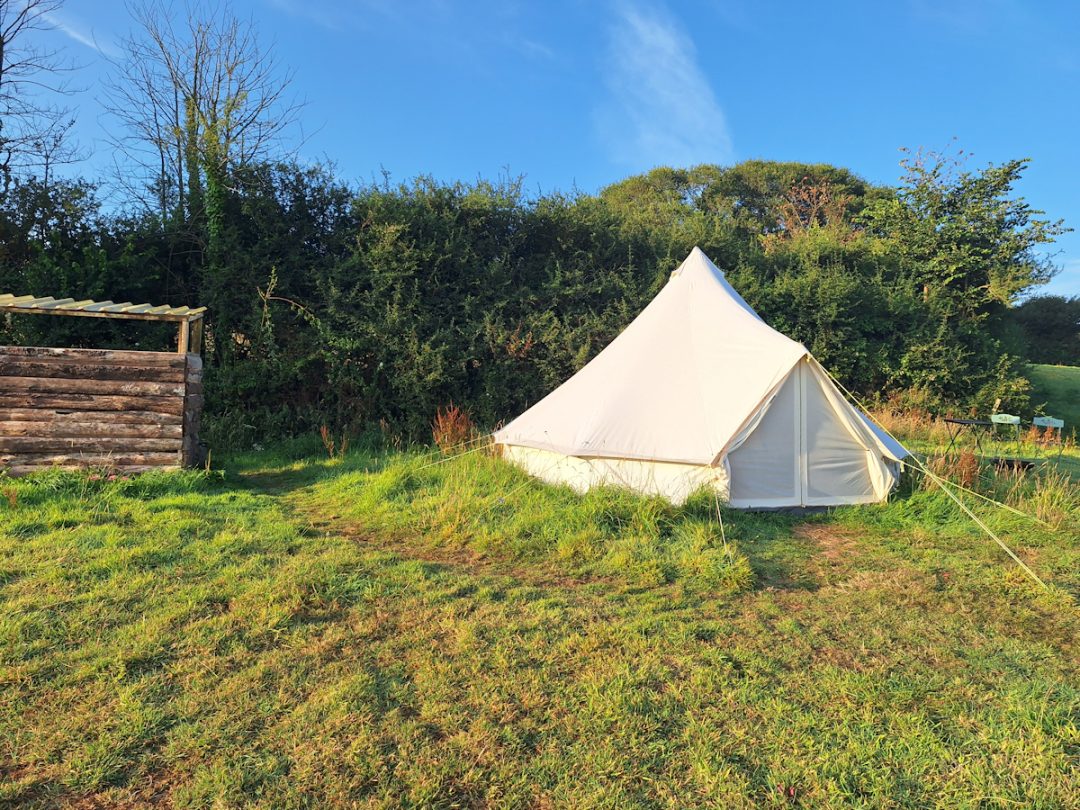 A white bell tent pitched in long grass close to a hedge. A low wooden structure close by.