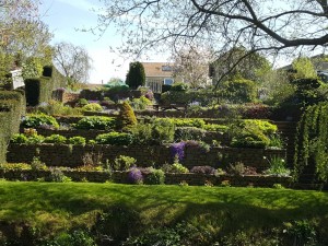 Tidy garden