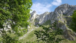 Limestone scenery