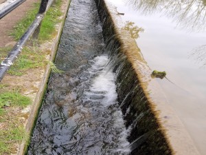 Overflow sluice above Kidlington Green Lock