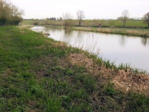 The broad River Cherwell