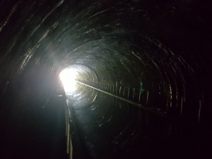 Newbold Tunnel