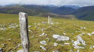 Fence posts