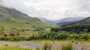 Ben Vane approach