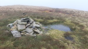 The unremarkable summit of Birks