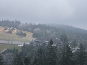 View from Kandelgipfel