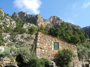 Isolated house 