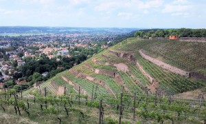 View from Bismarckturm 