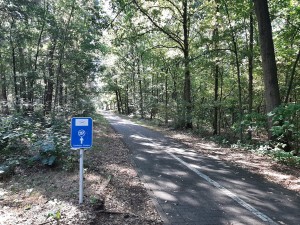 Forest cycle path  